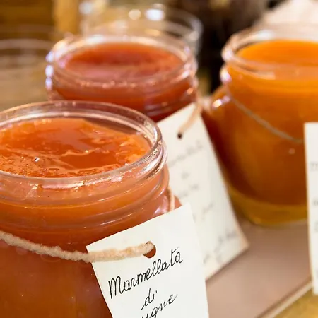 Crampon 3* Courmayeur